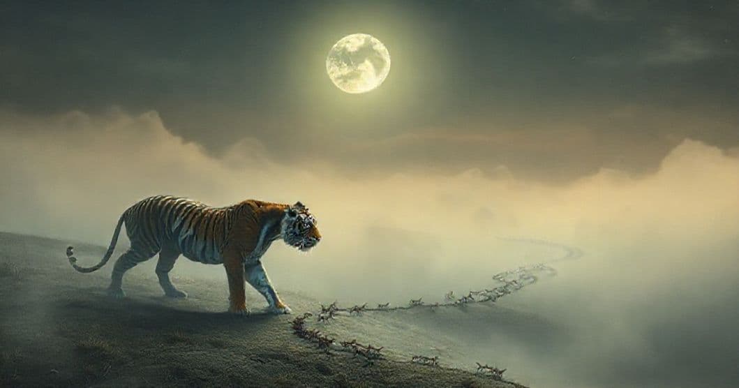 Featured image for The Tiger, Ants, and Moonlight: Decoding a Dream of Contrasting Symbolism