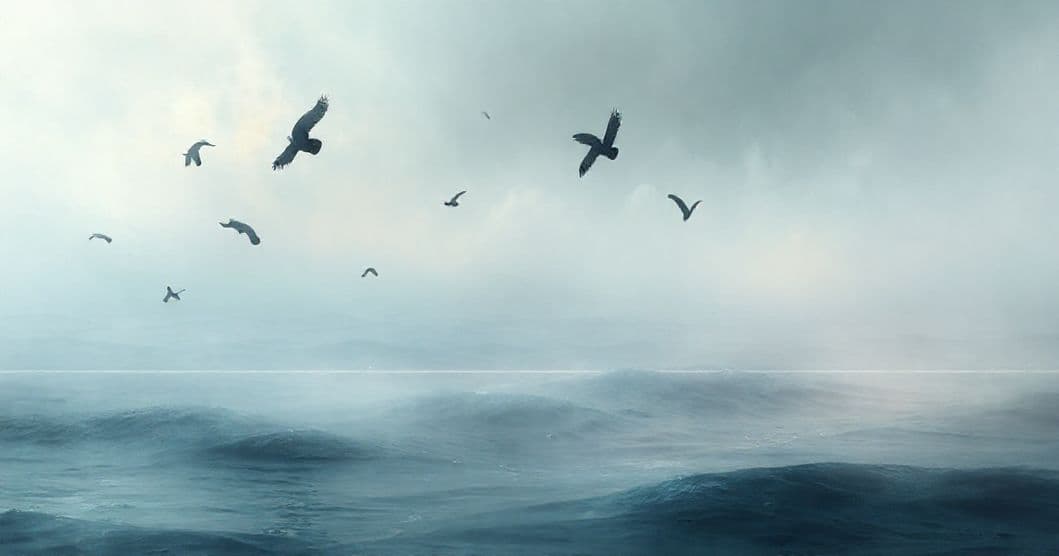 Featured image for Crow Tides and the Art of Balancing: What Your Dreams Are Whispering