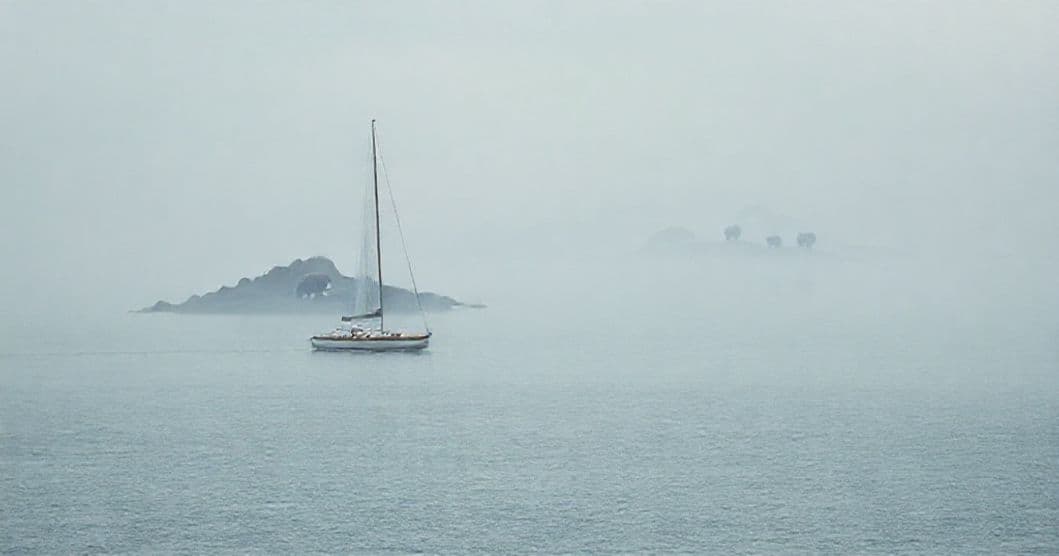 Featured image for Sailing to Bear Horizons: The Hidden Meaning of Brown Bear Dreams