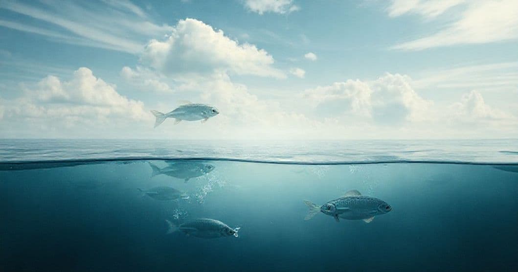 Featured image for Whispers Beneath the Sky: Decoding Dreams of Fish Out of Water and Water Whispers