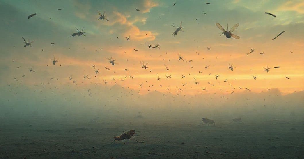 Featured image for Locusts, Emptiness, and Fried Chicken Flavor: A Dream of Transition and Transformation