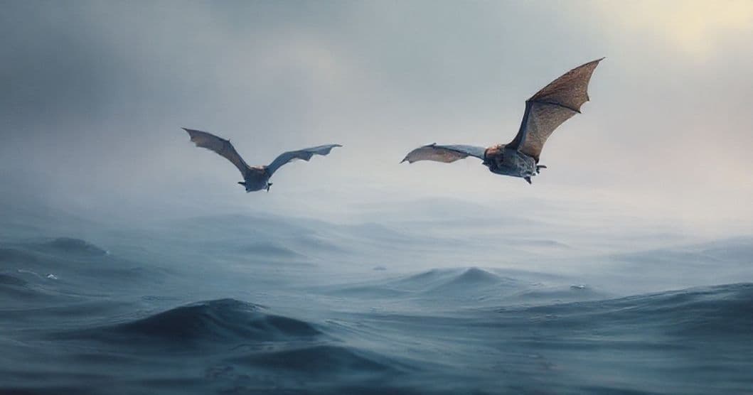 Featured image for The Bat and the Tides: What Your Dreams of Bats Are Trying to Balance