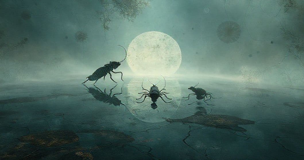Featured image for The Hidden Language of Cockroach Sigils and Mirror Dreams