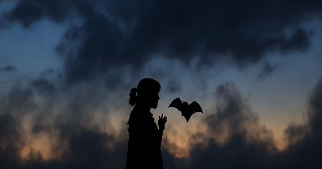 Featured image for Beneath the Bat Skies: The Whispering Symbolism of Bat Dreams