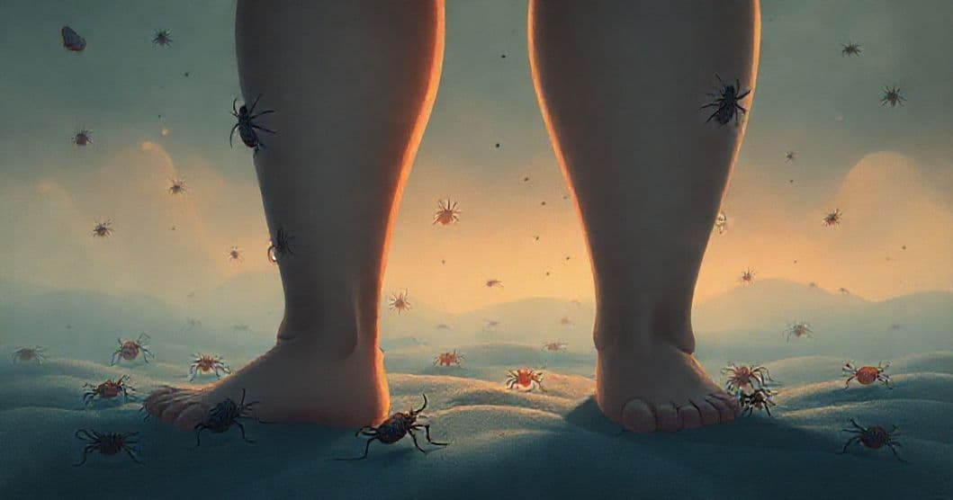 Featured image for Ticks on Legs: A Dream of Parasitic Fears and Relationship Anxiety