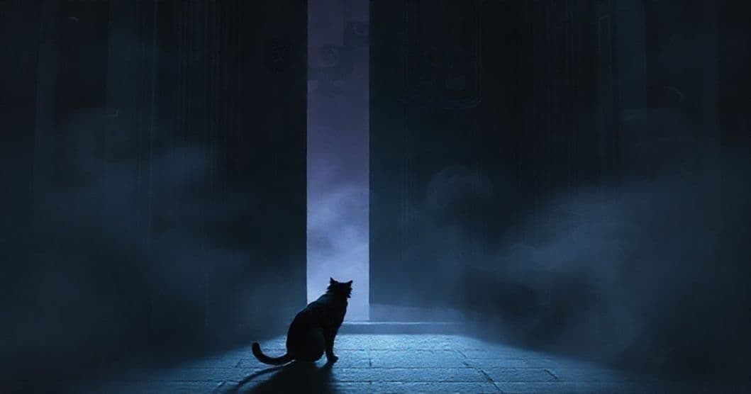 Featured image for The Black Cat Doorway: Why Your Subconscious Chases Echoes