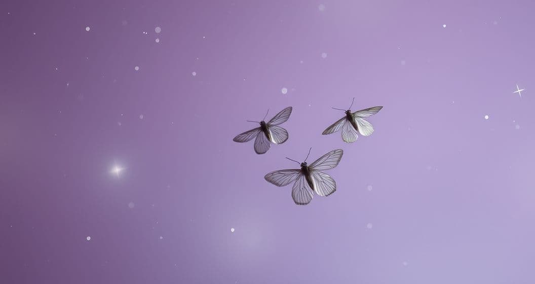 Featured image for The Moth, the Whisper, and the Sky: Decoding Dreams of Shared Secrets